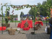 cesti e alambicco